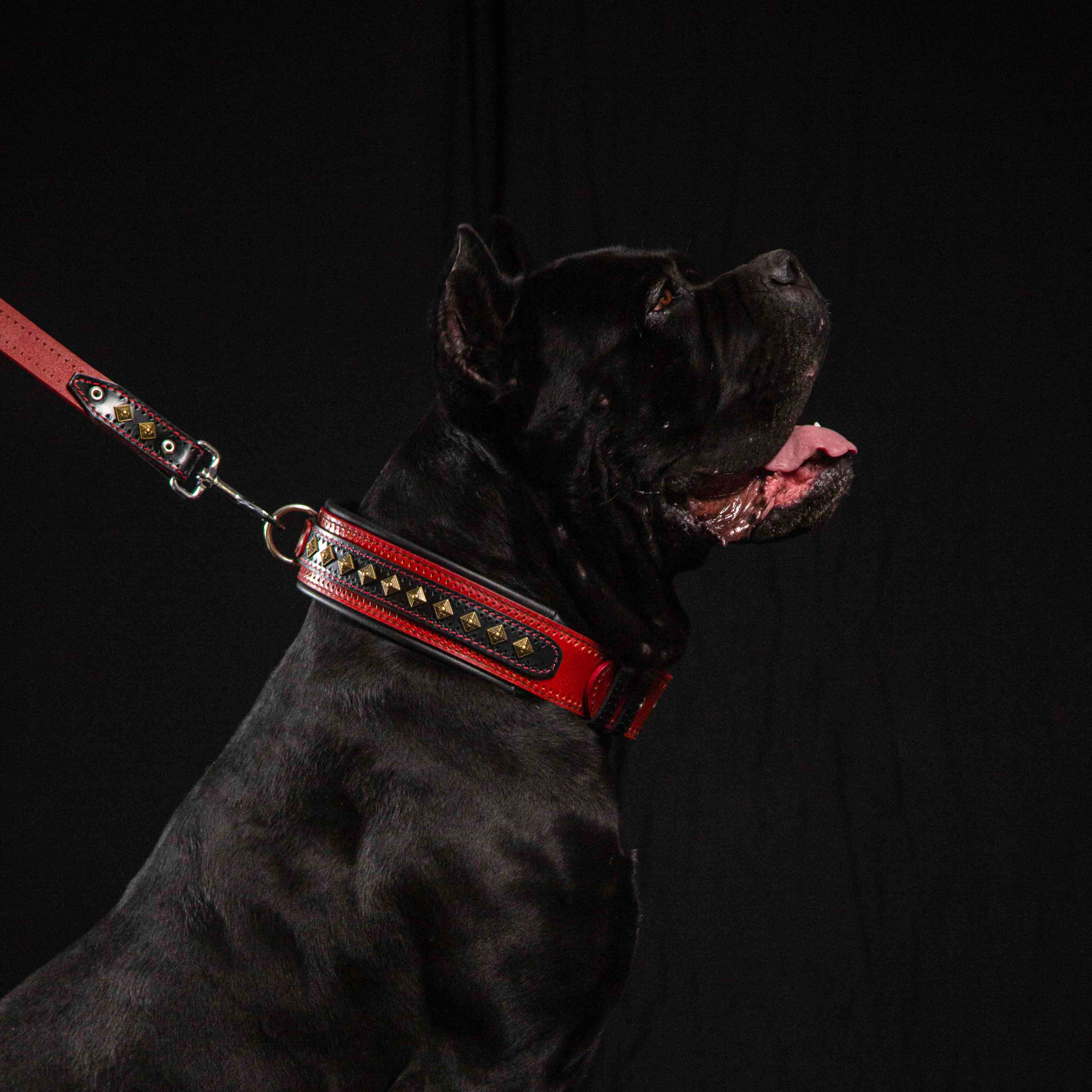 El collar rojo "Balteus"