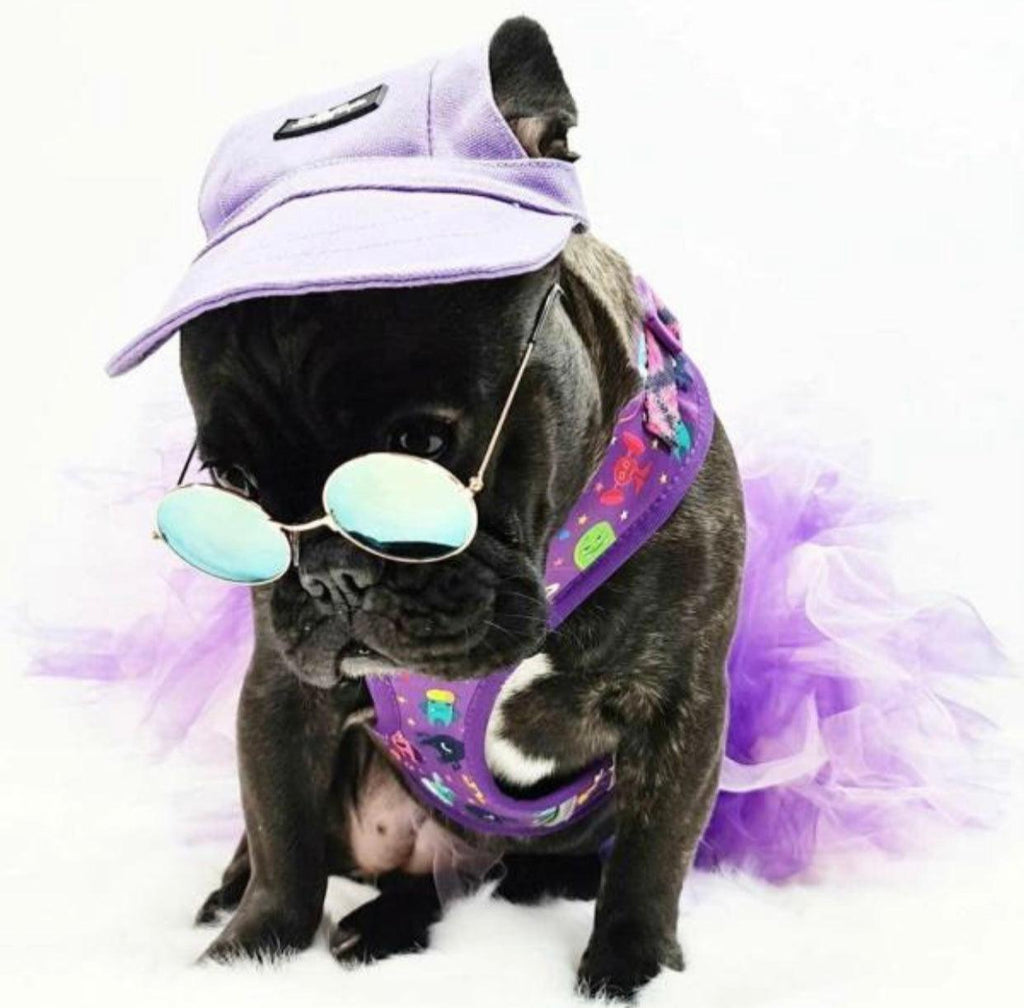 Mascotas Gorra Morada