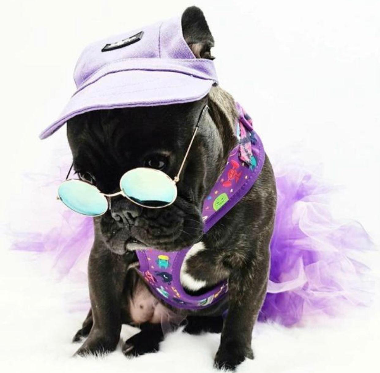 Mascotas Gorra Morada