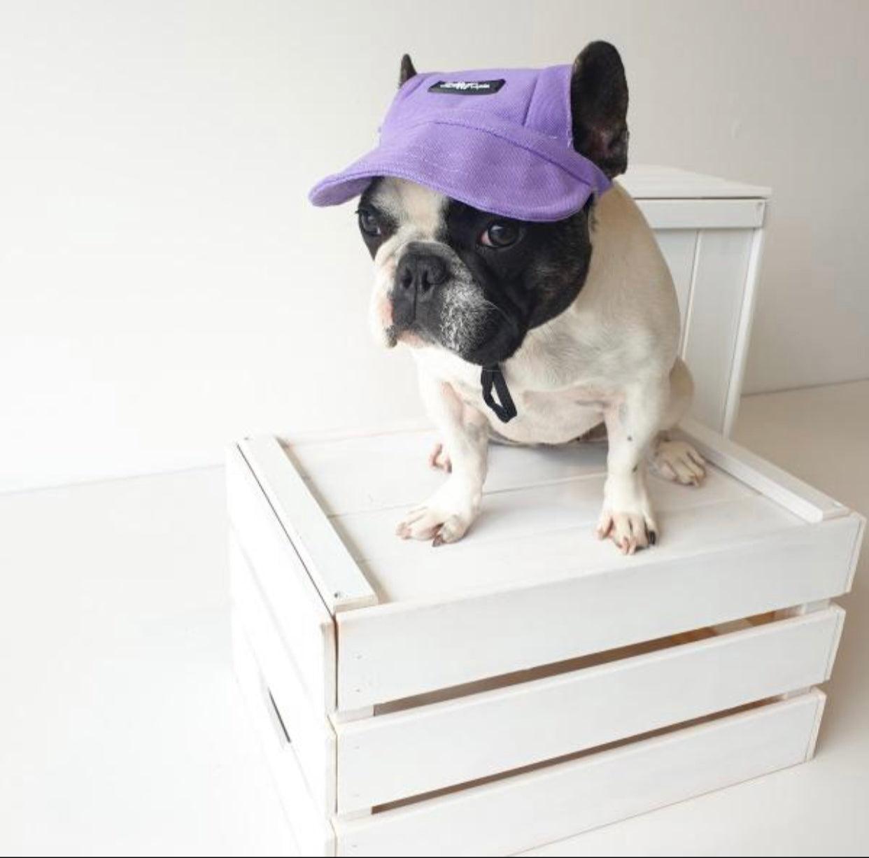 Mascotas Gorra Morada