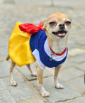 Snow White Pets Costume-0