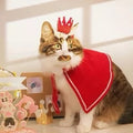 Crown for pets-0