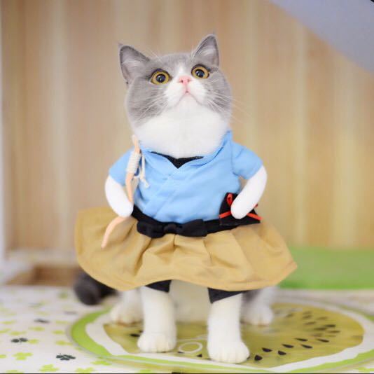 Lindos disfraces de mascotas