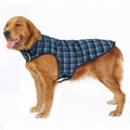 Ropa extragrande para perros: ropa elegante y cómoda para perros grandes