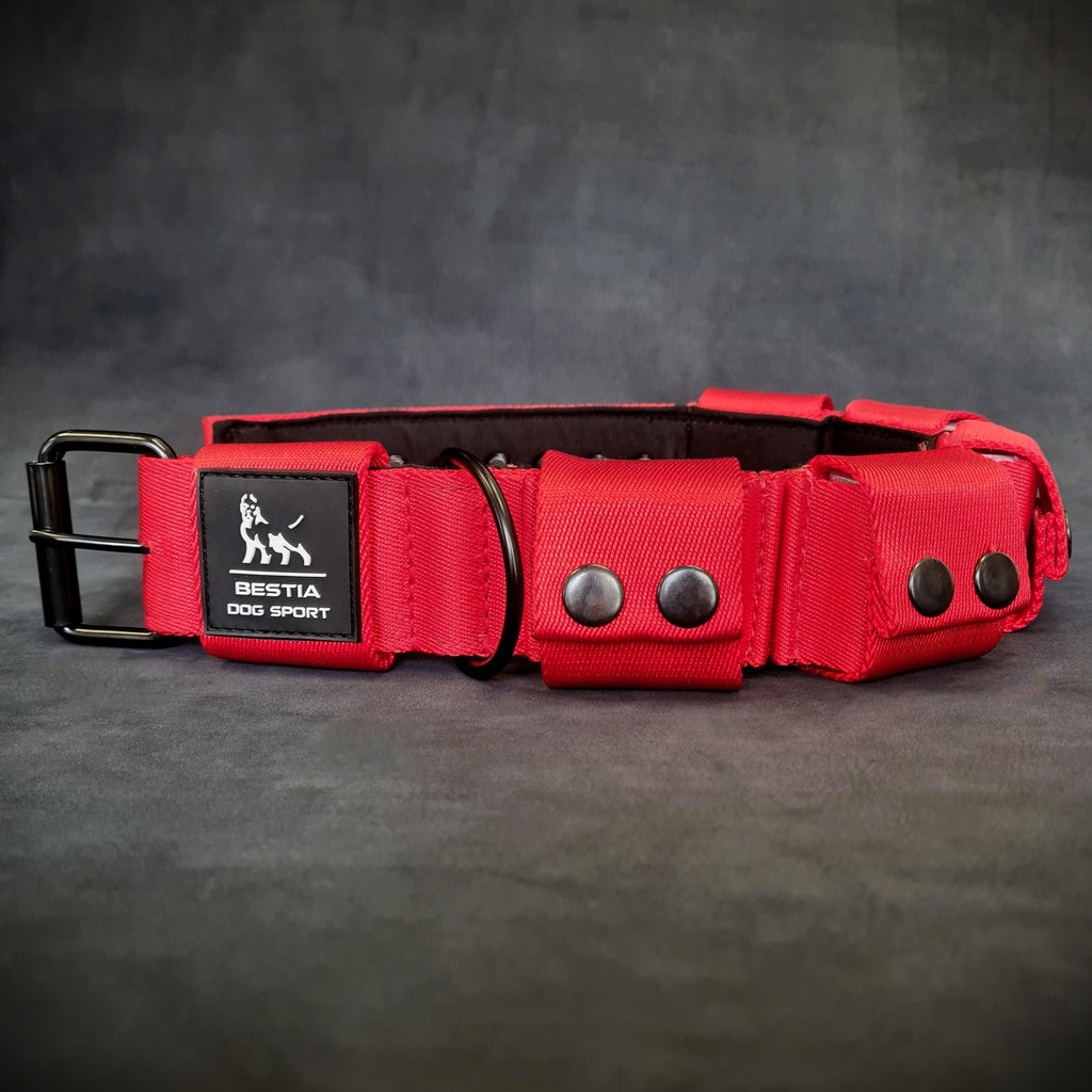 Collar de entrenamiento para perros con peso - Rojo. Razas grandes. 2.26 kg en total. Pesos removibles.