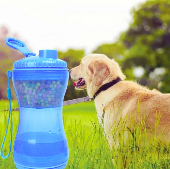 Dispensador de comida para perros
