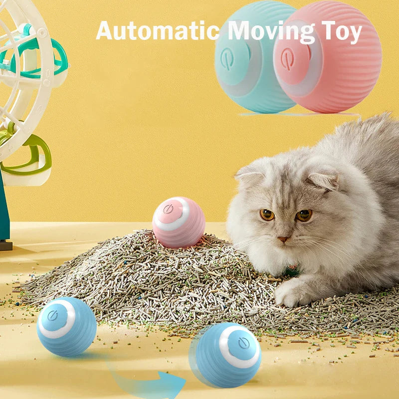 Interactive Gravity Rolling Ball for Cats and Dogs-0