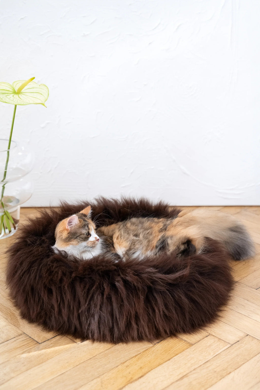 Cama redonda de piel de oveja natural para mascotas - Marrón