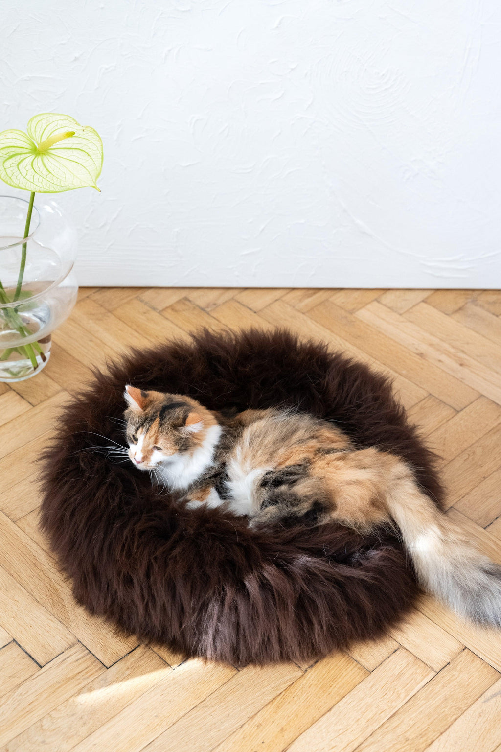 Cama redonda de piel de oveja natural para mascotas - Marrón