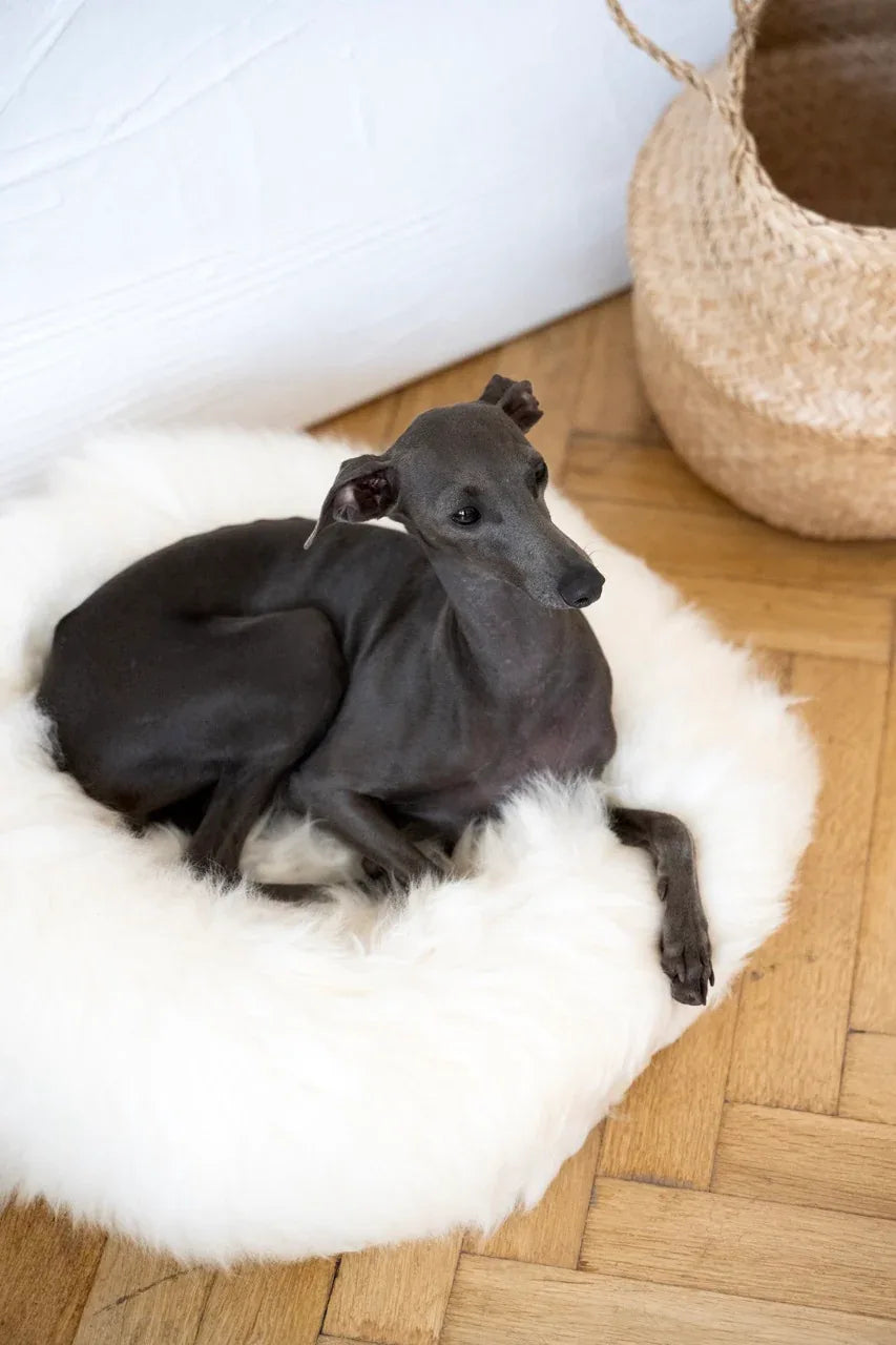 Cama redonda de piel de oveja natural para mascotas - Blanca