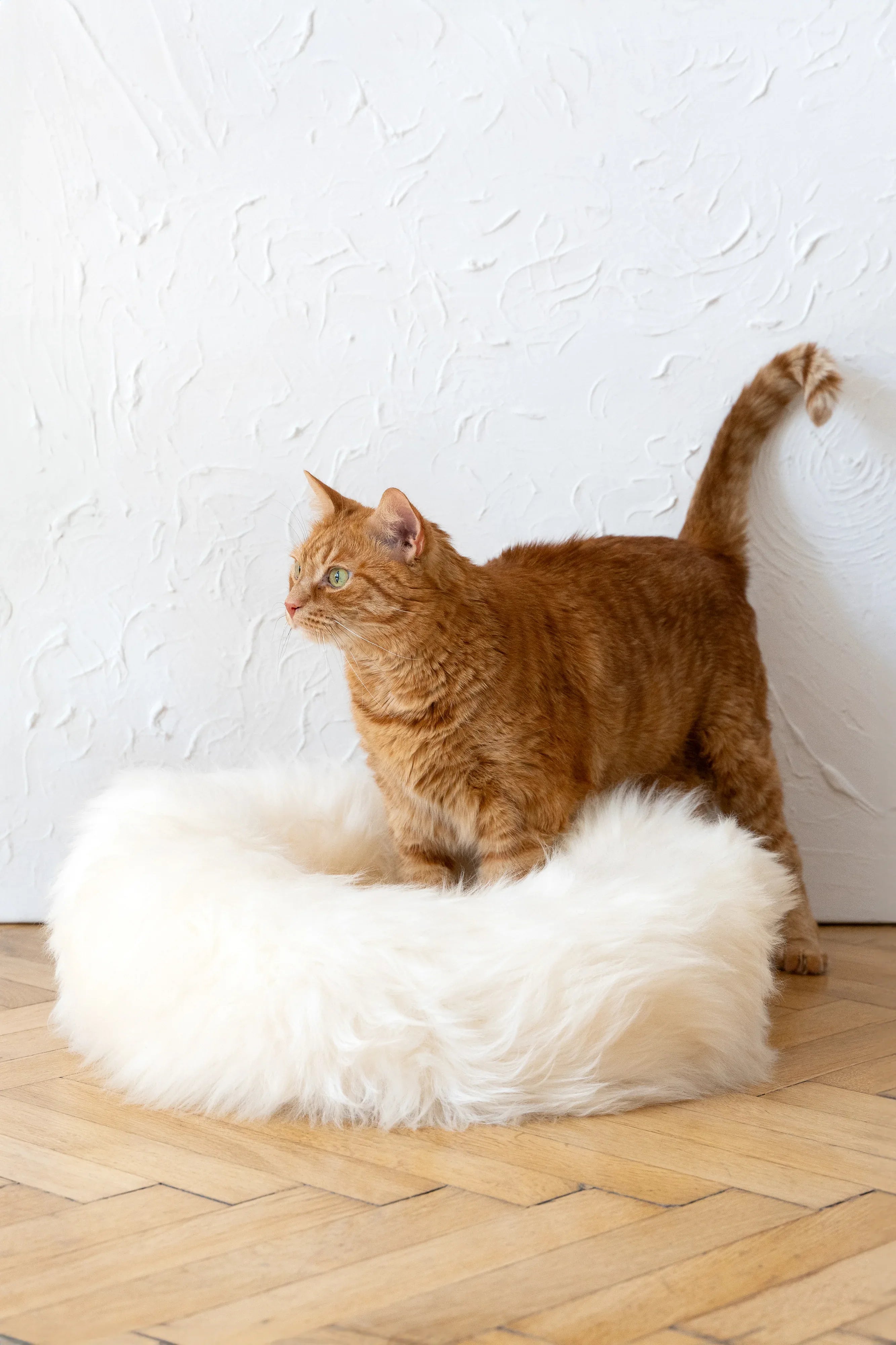 Cama redonda de piel de oveja natural para mascotas - Blanca