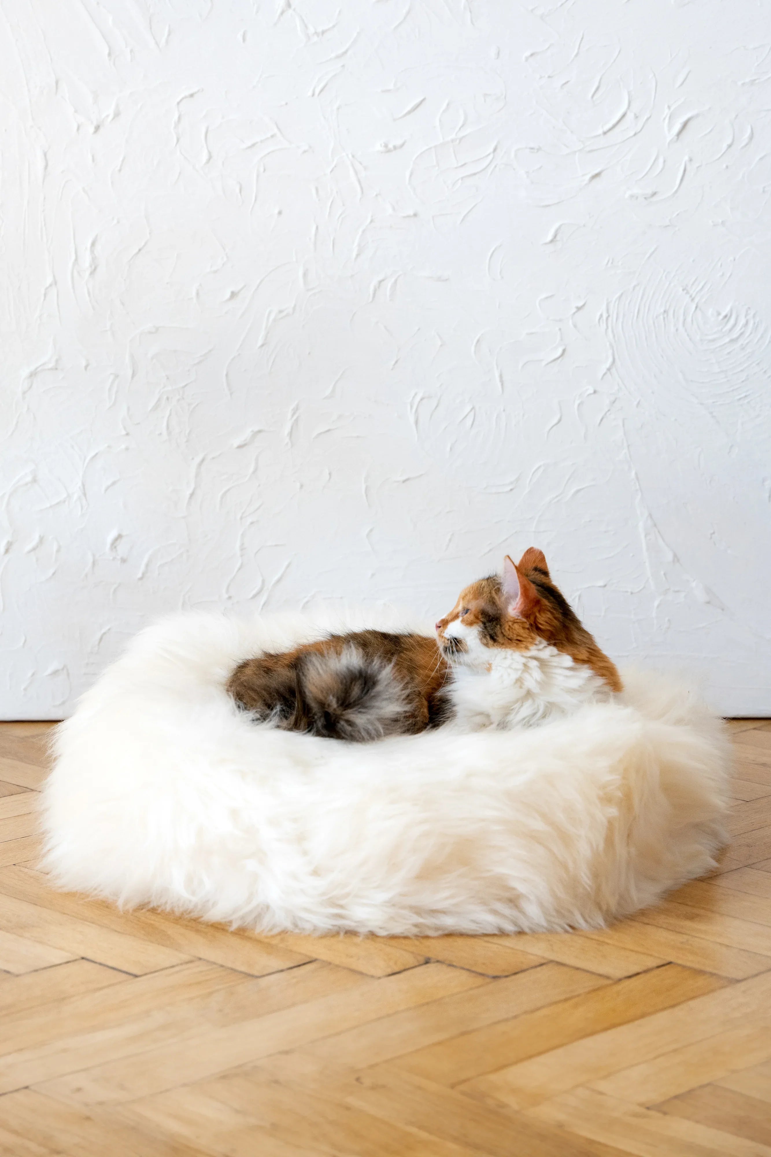 Cama redonda de piel de oveja natural para mascotas - Blanca