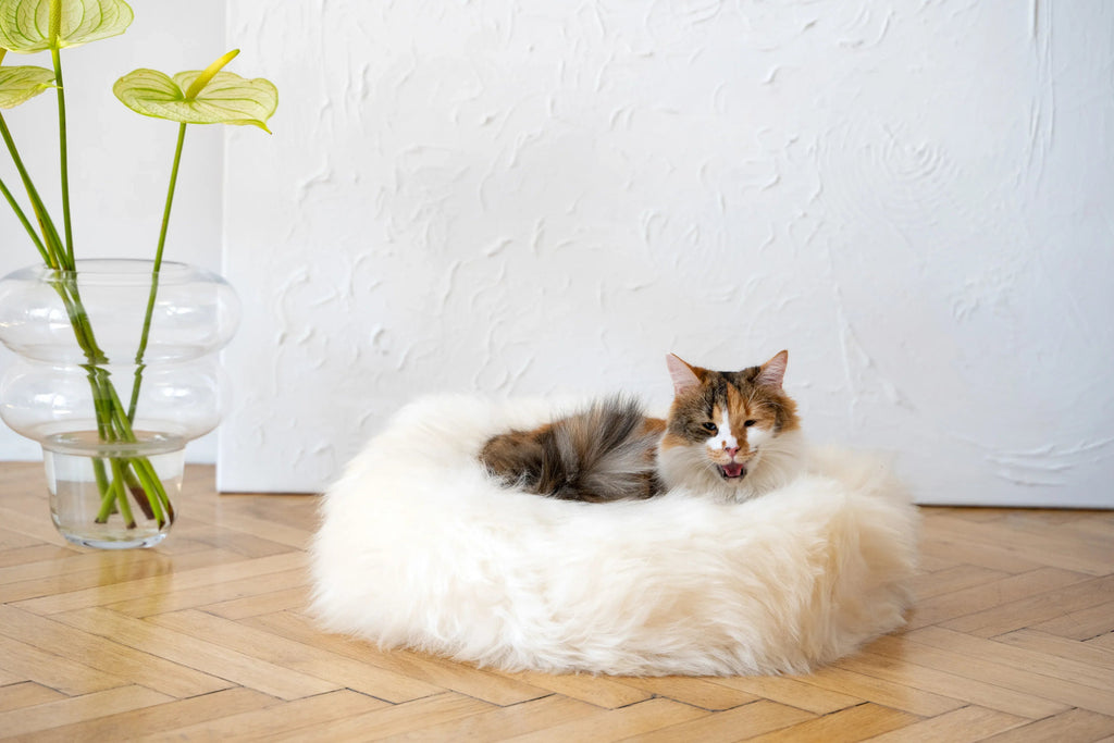 Cama redonda de piel de oveja natural para mascotas - Blanca