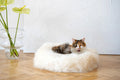 Cama redonda de piel de oveja natural para mascotas - Blanca