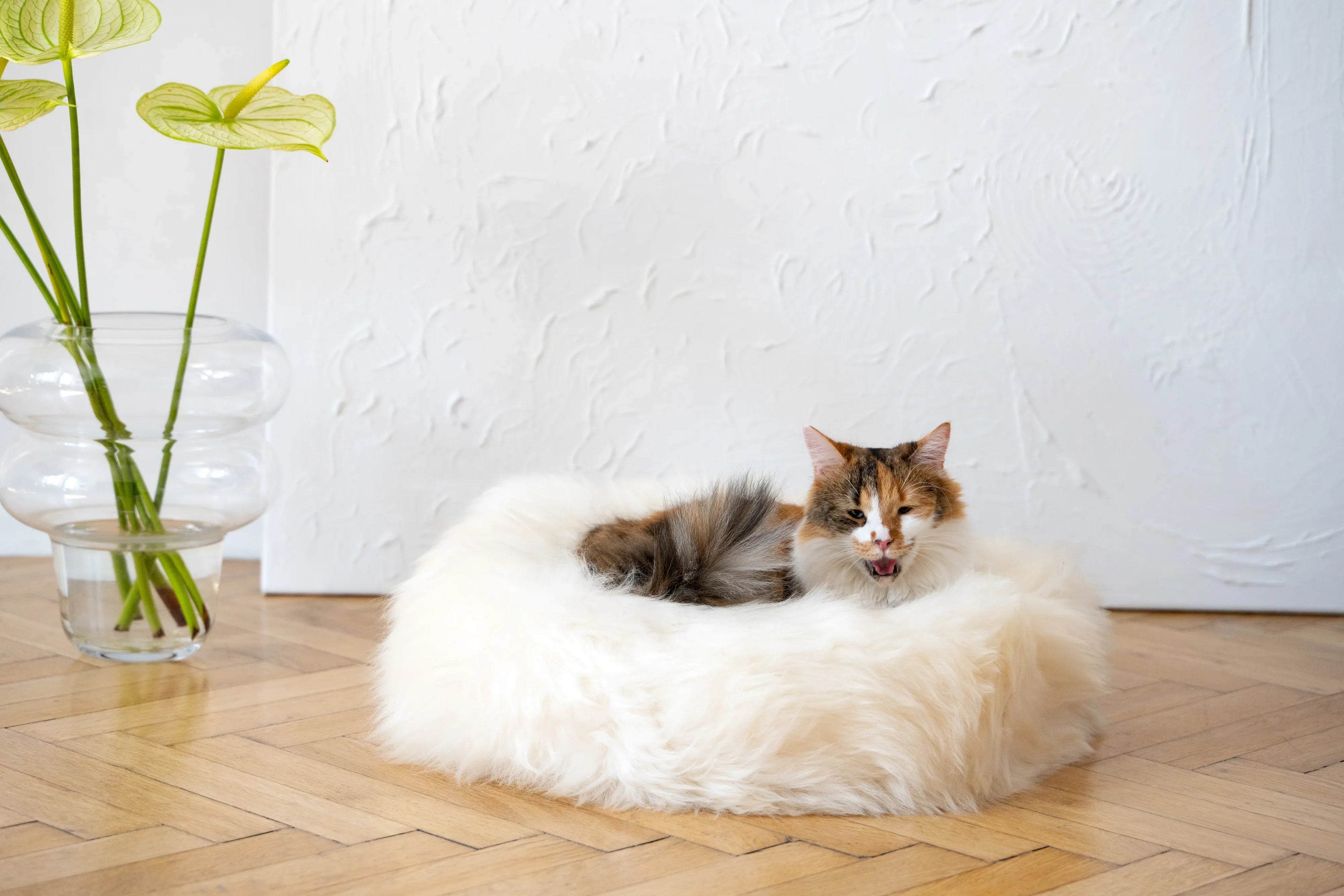 Cama redonda de piel de oveja natural para mascotas - Blanca