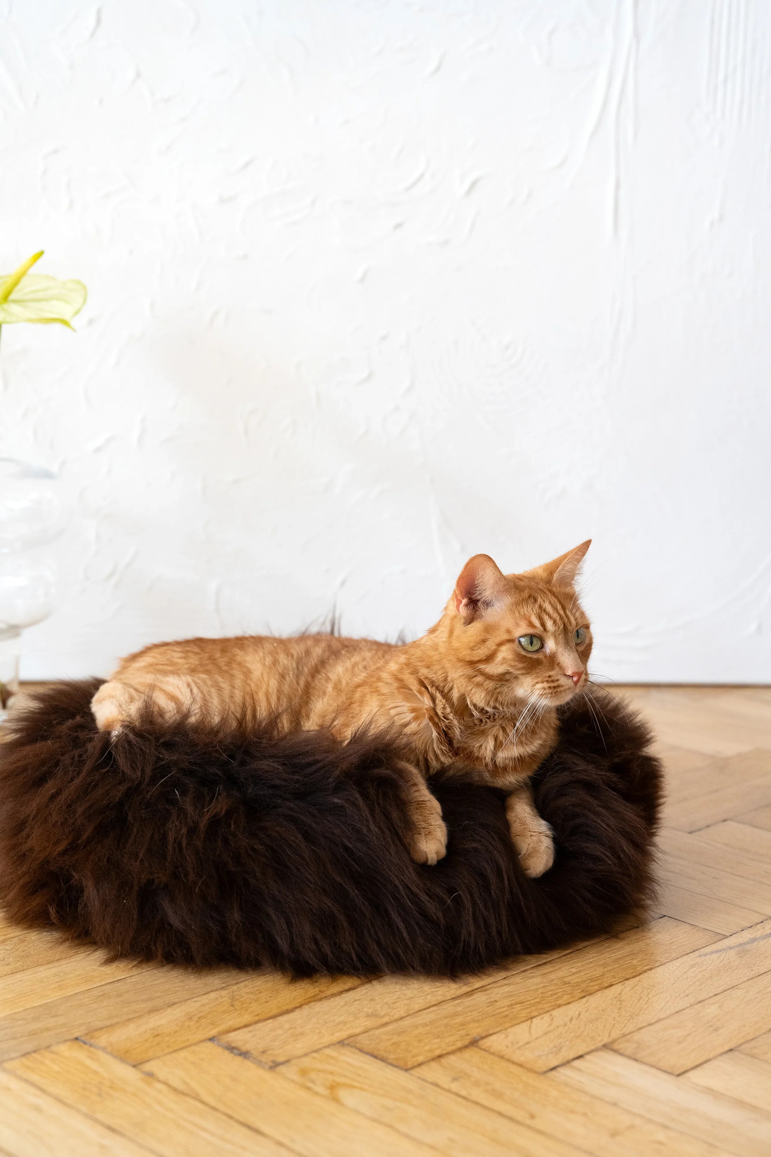 Cama redonda de piel de oveja natural para mascotas - Marrón