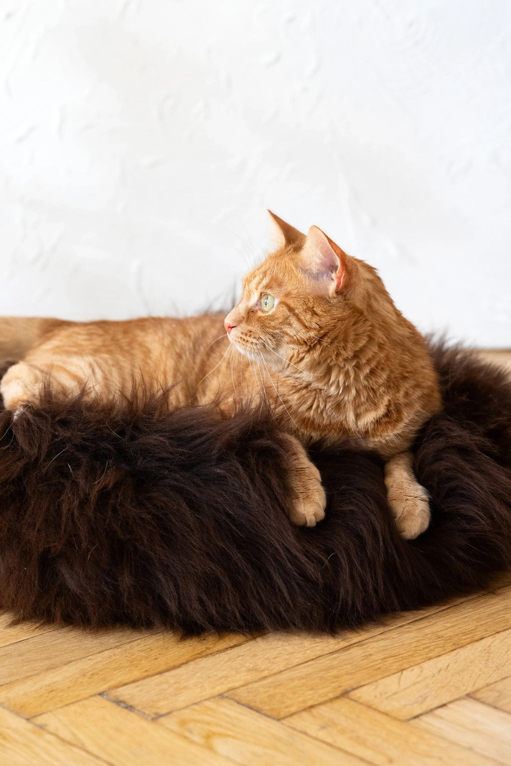 Cama redonda de piel de oveja natural para mascotas - Marrón
