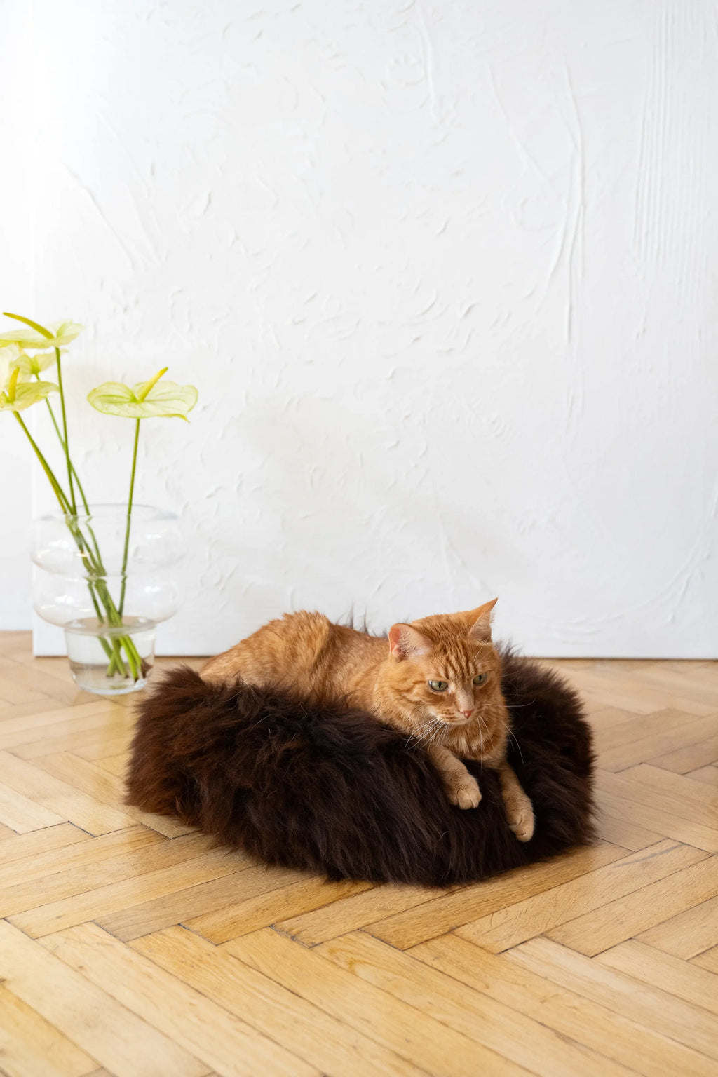 Cama redonda de piel de oveja natural para mascotas - Marrón