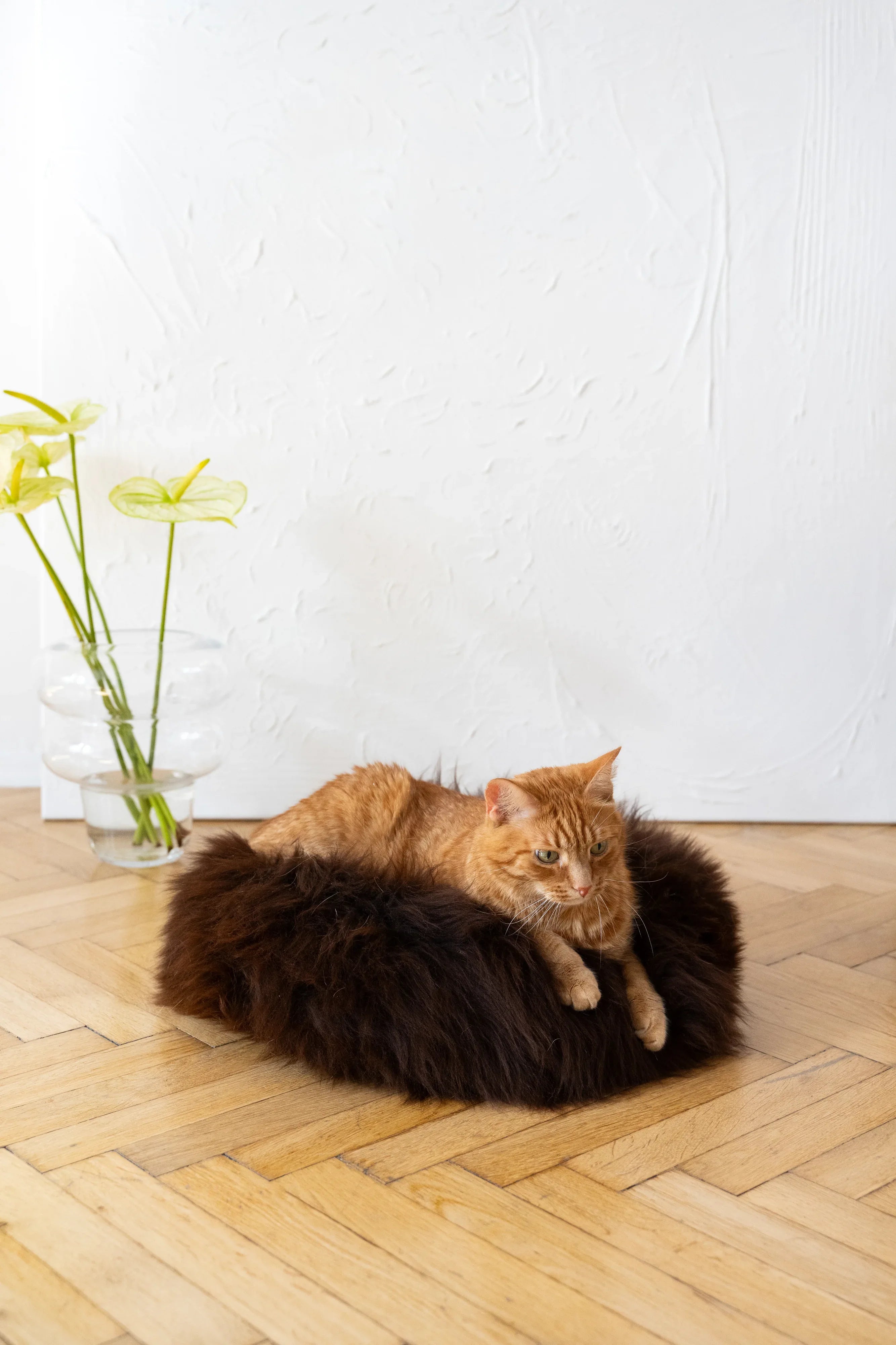 Cama redonda de piel de oveja natural para mascotas - Marrón