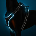 No-Pull Dog Harness-0