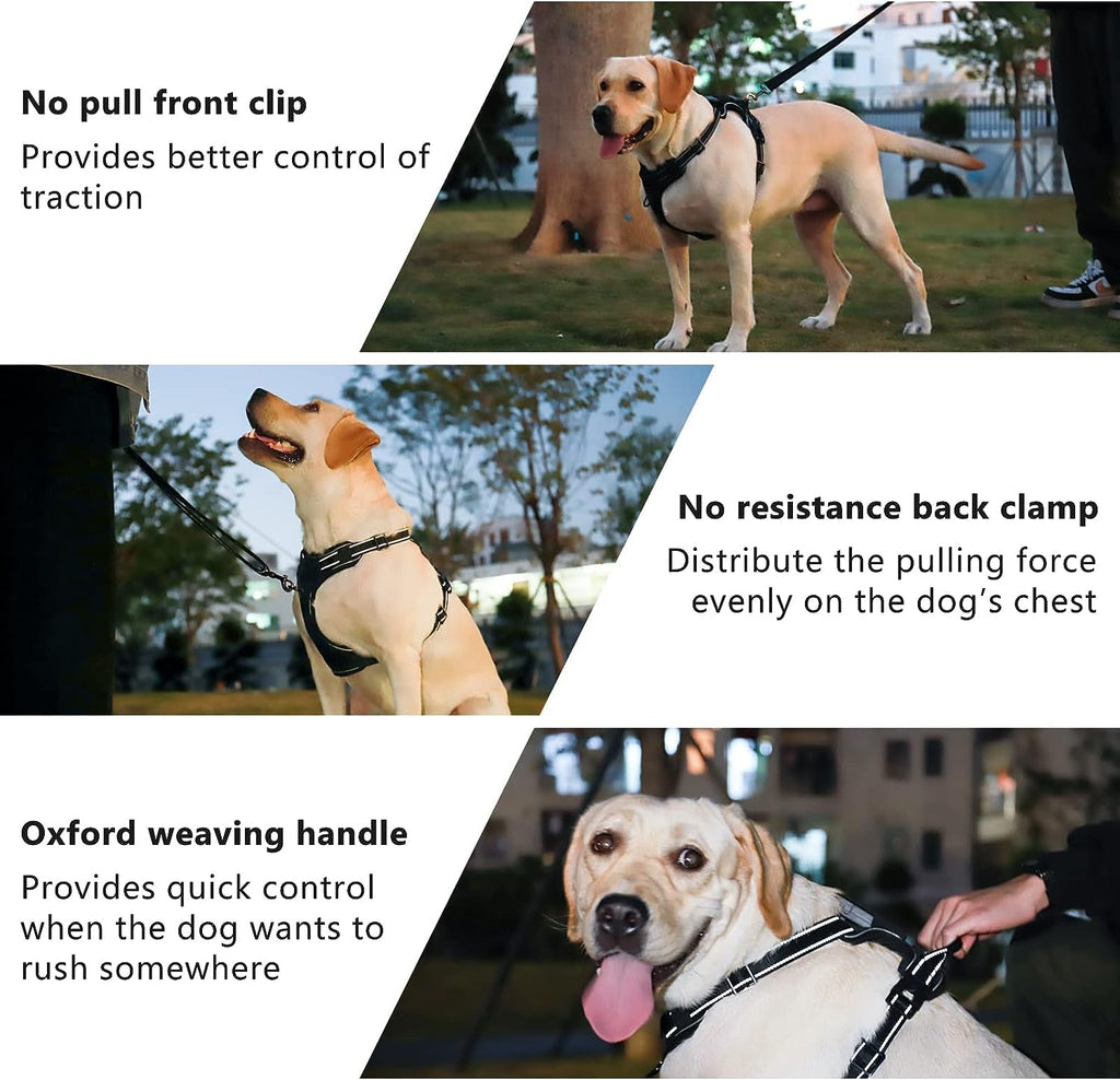 No-Pull Dog Harness-3