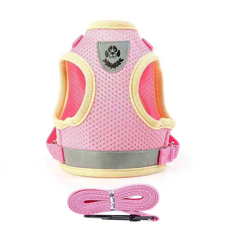 Puppy Harness and Leash Set for Small Dogs-6