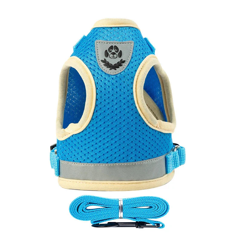 Puppy Harness and Leash Set for Small Dogs-8