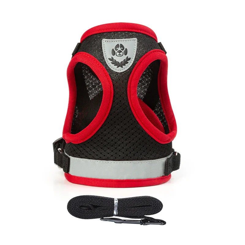Puppy Harness and Leash Set for Small Dogs-9
