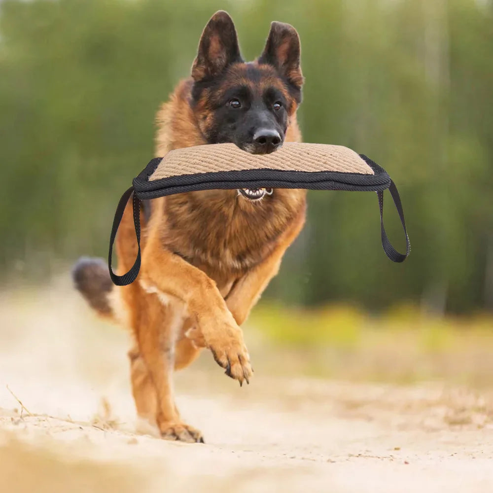 chew toys for cats and dogs-0