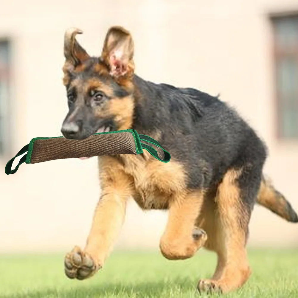 chew toys for cats and dogs-3