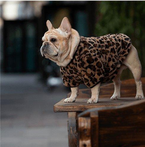 Ropa de invierno para perros Cozyfluff - Prendas cálidas y elegantes para mascotas de tamaño mediano