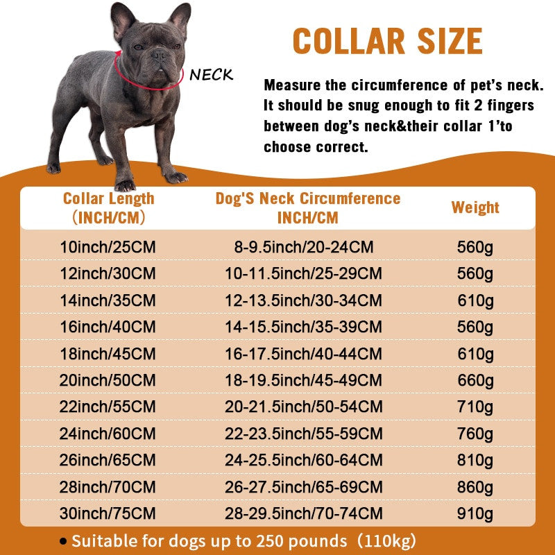 Cuban Chain Dogs Collar-3