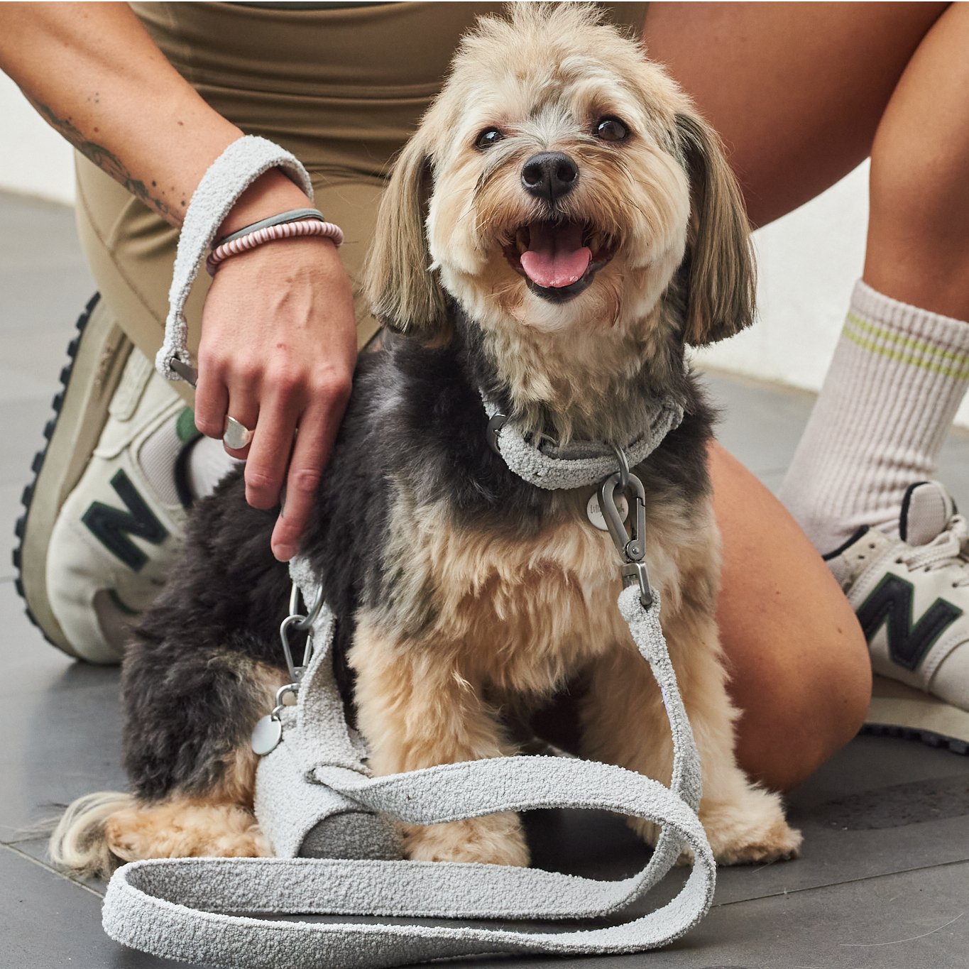leashes-1