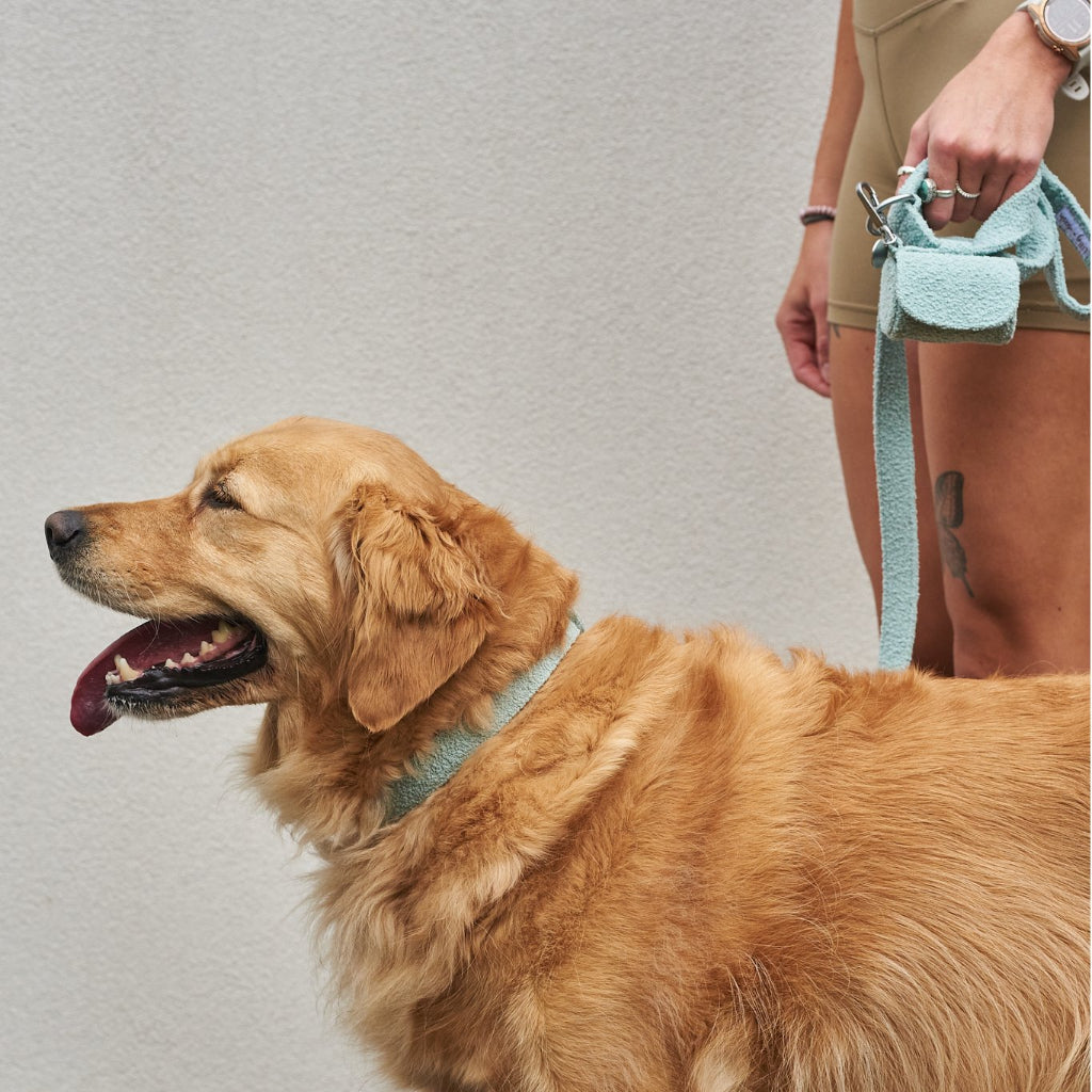 waste bag holders-3